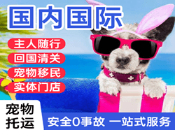 喀什徕宁机场托运国际宠物托运 【国